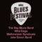 Køge Blues Festival den 1. november 2025 kl. 12.00. Med The Bay Blues Band, Wild Dogs, Weltmeister Syndicate og Jake Green Band.
